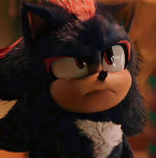 Shadow The Hedgehog